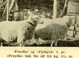 Frøydis og Fjellgod