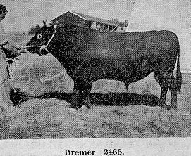Bremer