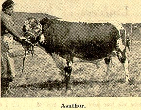 Asathor