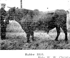 Balder