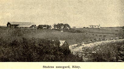 Statens sauegard, Edøy