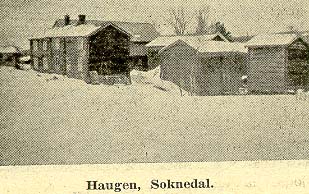 Haugen, soknedal